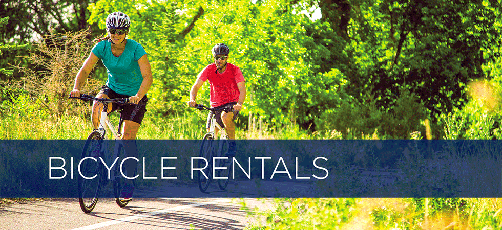Bike Rentals - Toga Bike Shop - New York