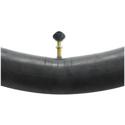 WTB Inner Tube 26-inch Presta